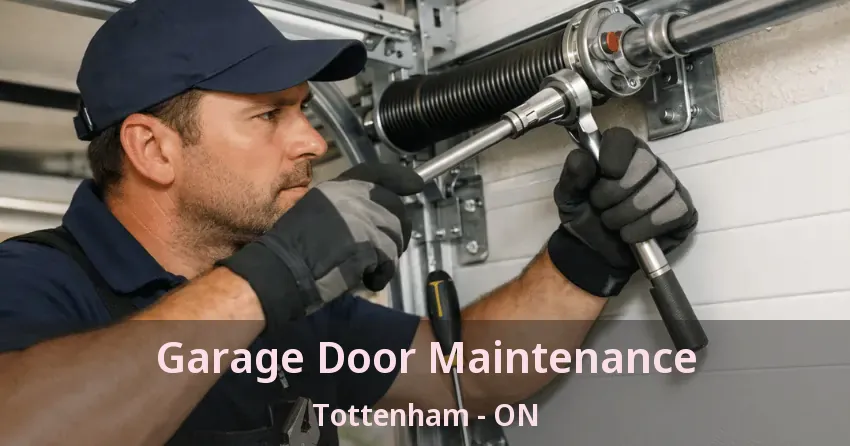 Garage Door Maintenance Tottenham - ON Garage Door Maintenance Tottenham - ON