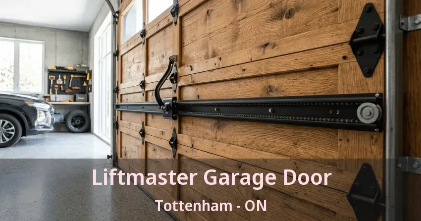 Liftmaster Garage Door Tottenham - ON