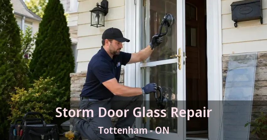 Storm Door Glass Repair Tottenham - ON